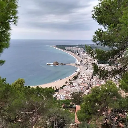 Precioso A 250 Metros De La Playa. Апартаменты